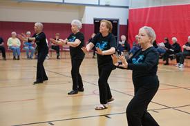 Tai Chi for Healthy Aging